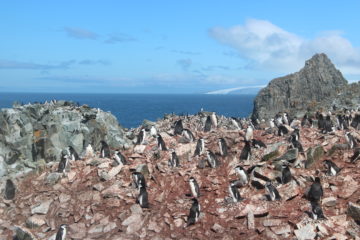A group of people on a rocky hill.