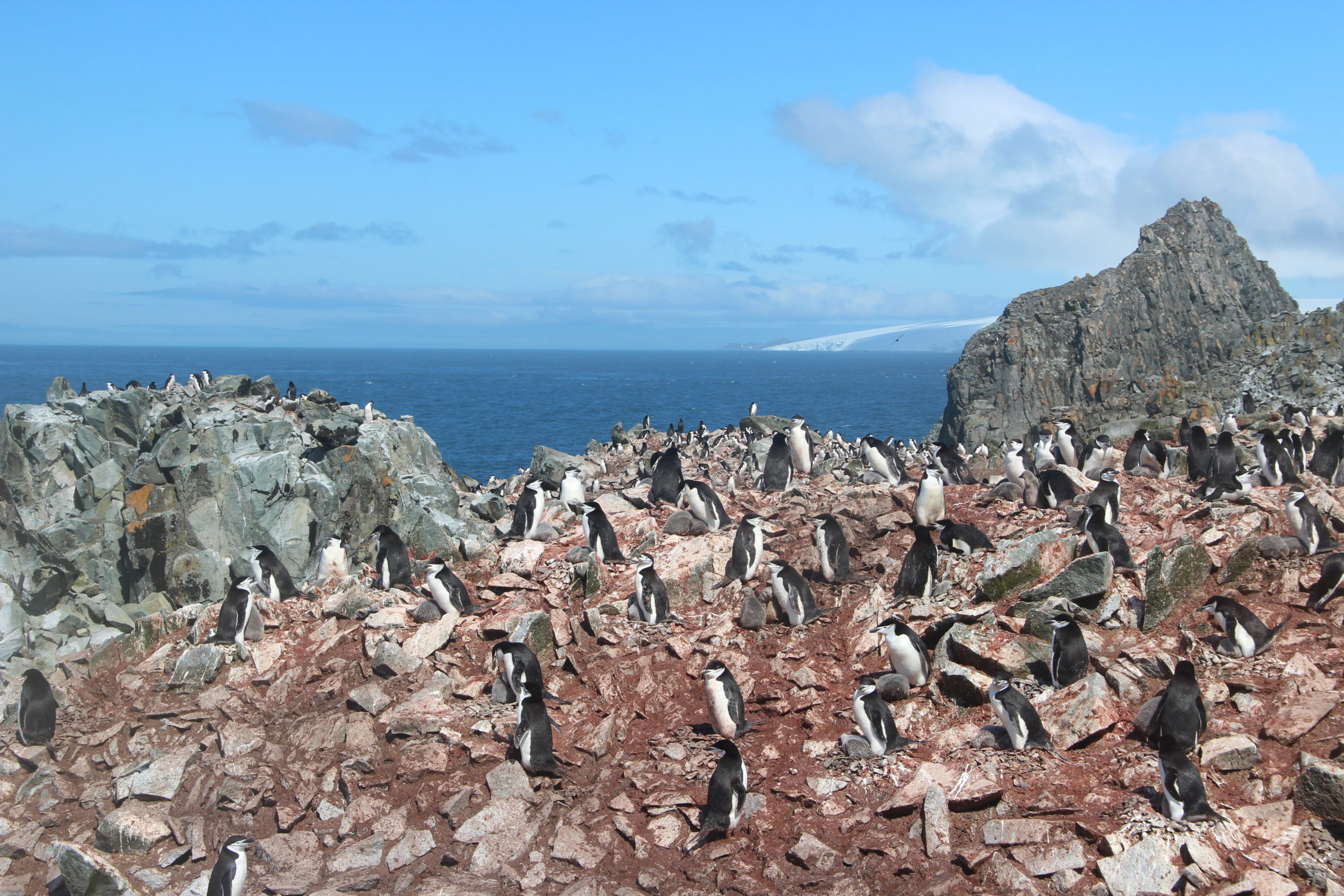 A group of people on a rocky hill.