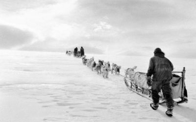 A group of people walking in the snow.
