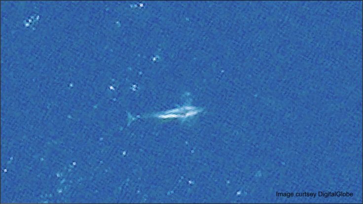 A close up of a blue wall.