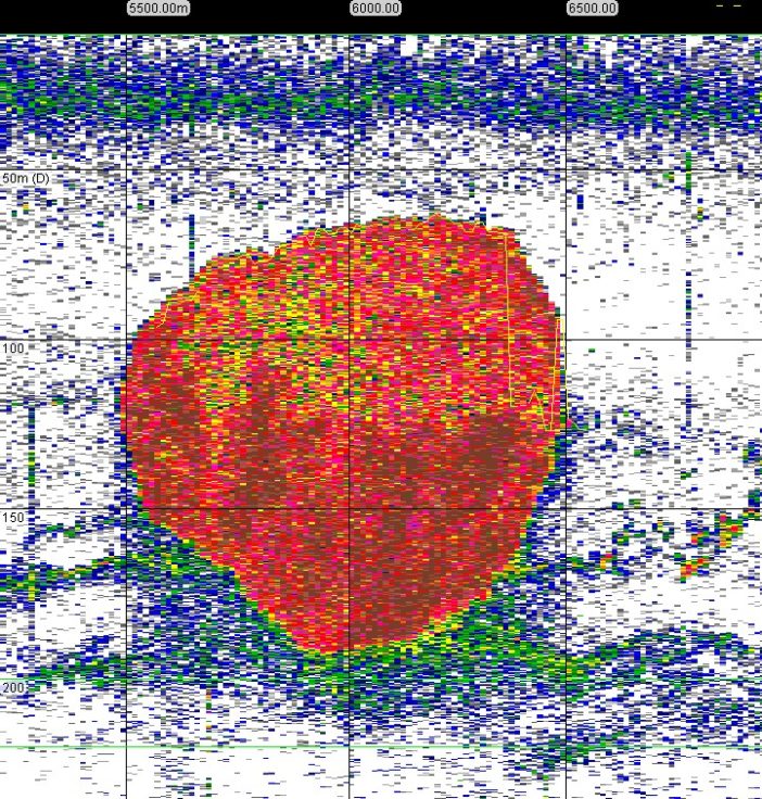 Krill swarms responsible for 'hidden' carbon storage - British ...