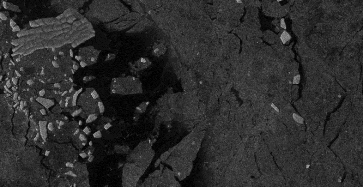 A group of people sitting on the ground.