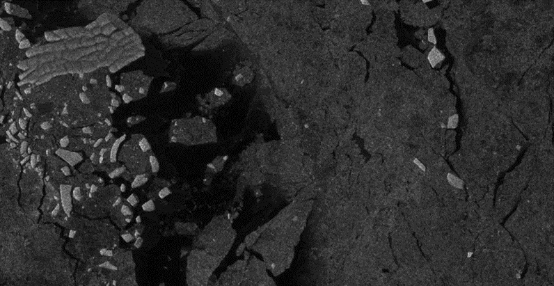 A group of people sitting on the ground.