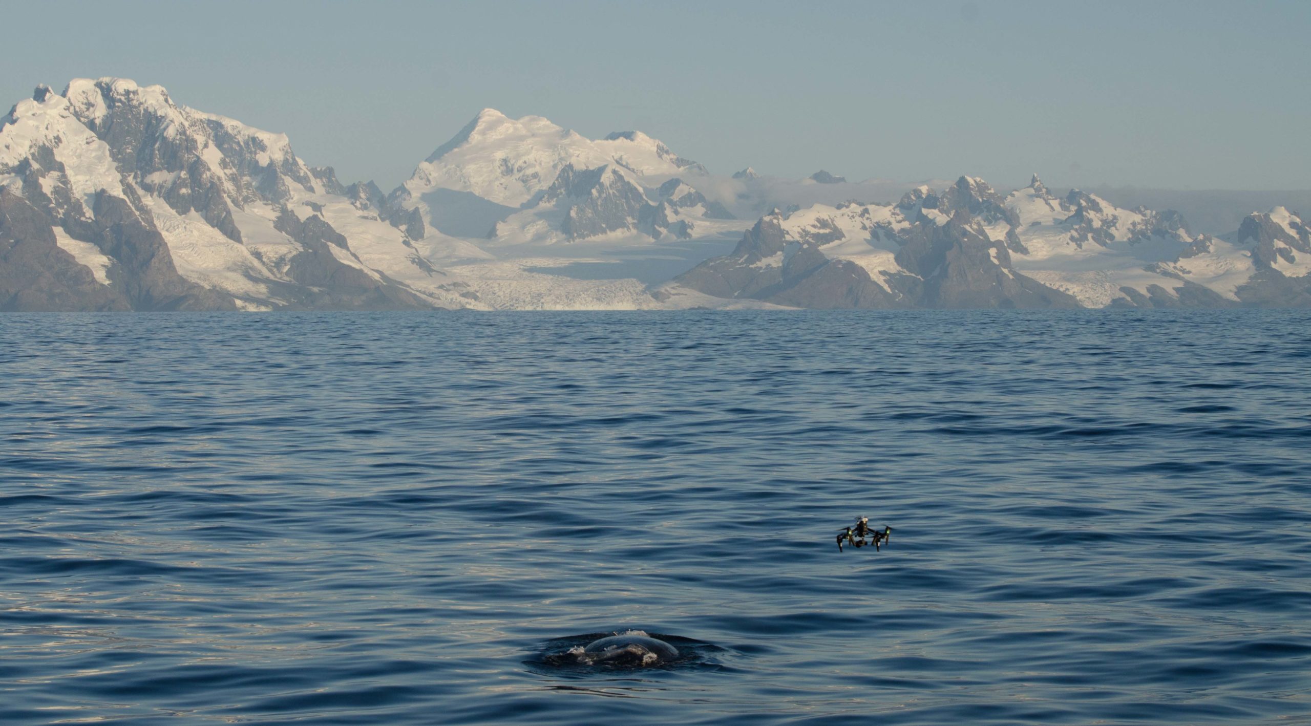 A large body of water with a mountain in the background.