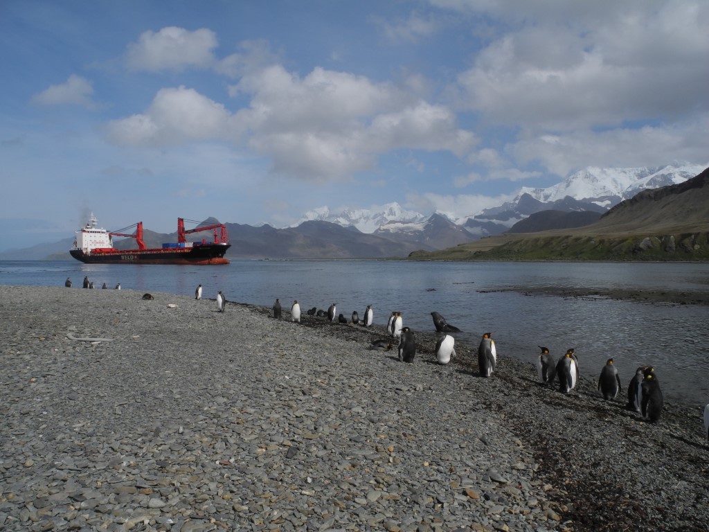 A group of people standing next to a body of water.