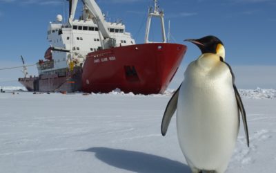A penguin on the ice in front of the James Clark Ross research ship