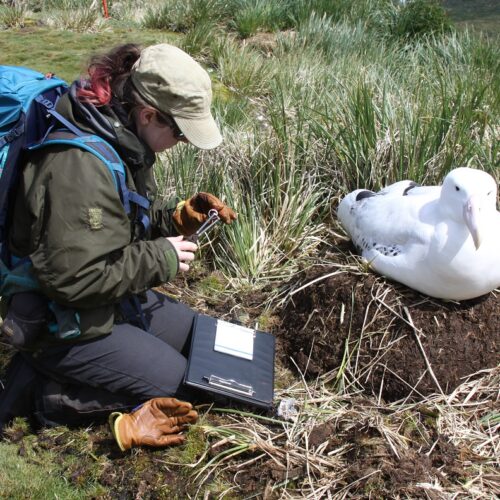 Profile picture Alexandra Dodds