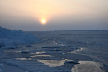 Arctic Sea Ice