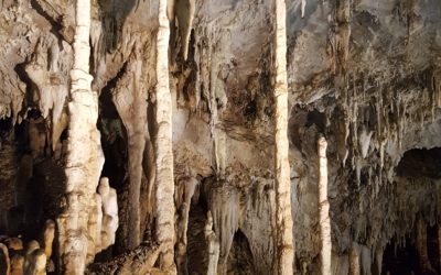 Stalagtites and stalagmites in a cave
