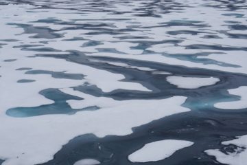 Ice on water in a melt pond