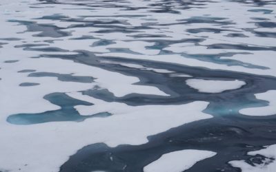 Ice on water in a melt pond