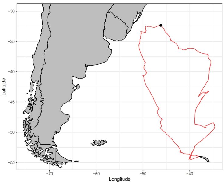 Sitka Wandering Albatross Tracking Image