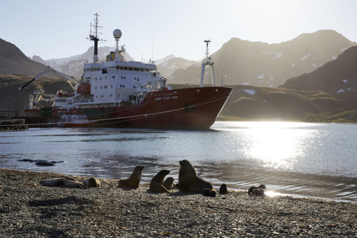 RRS James Clark Ross at South Georgia