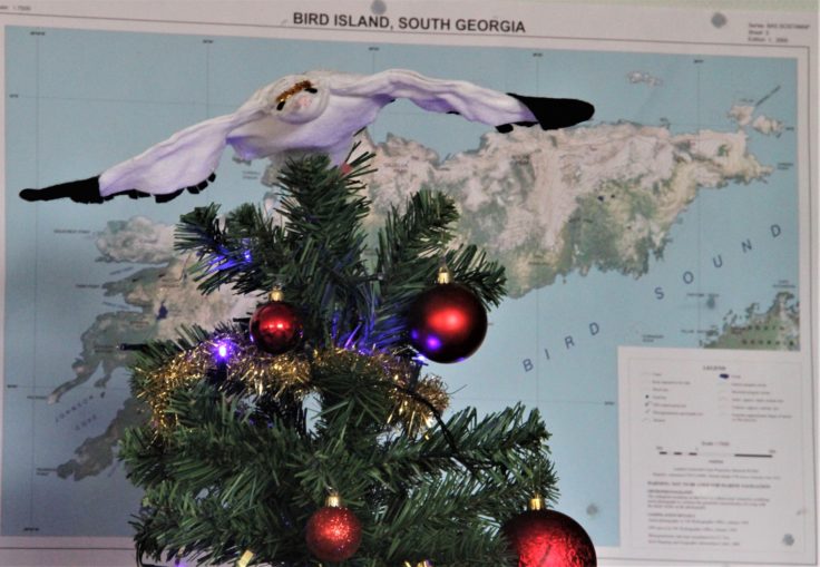 Christmas tree at Bird Island