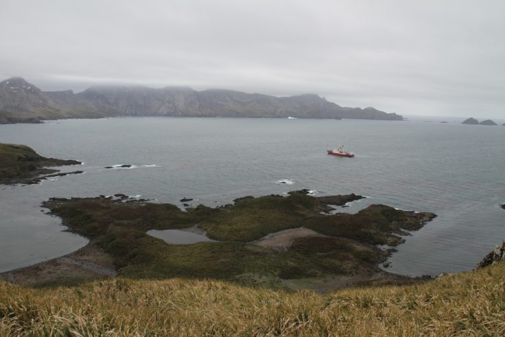 RRS James Clark Ross arrives at Bird Island