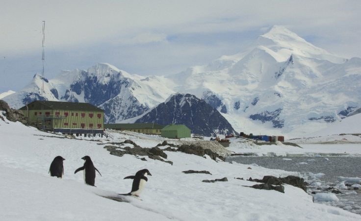 A group of people standing on top of a snow covered mountain