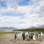 A group of people standing next to a body of water