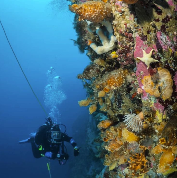 A group of people are underwater