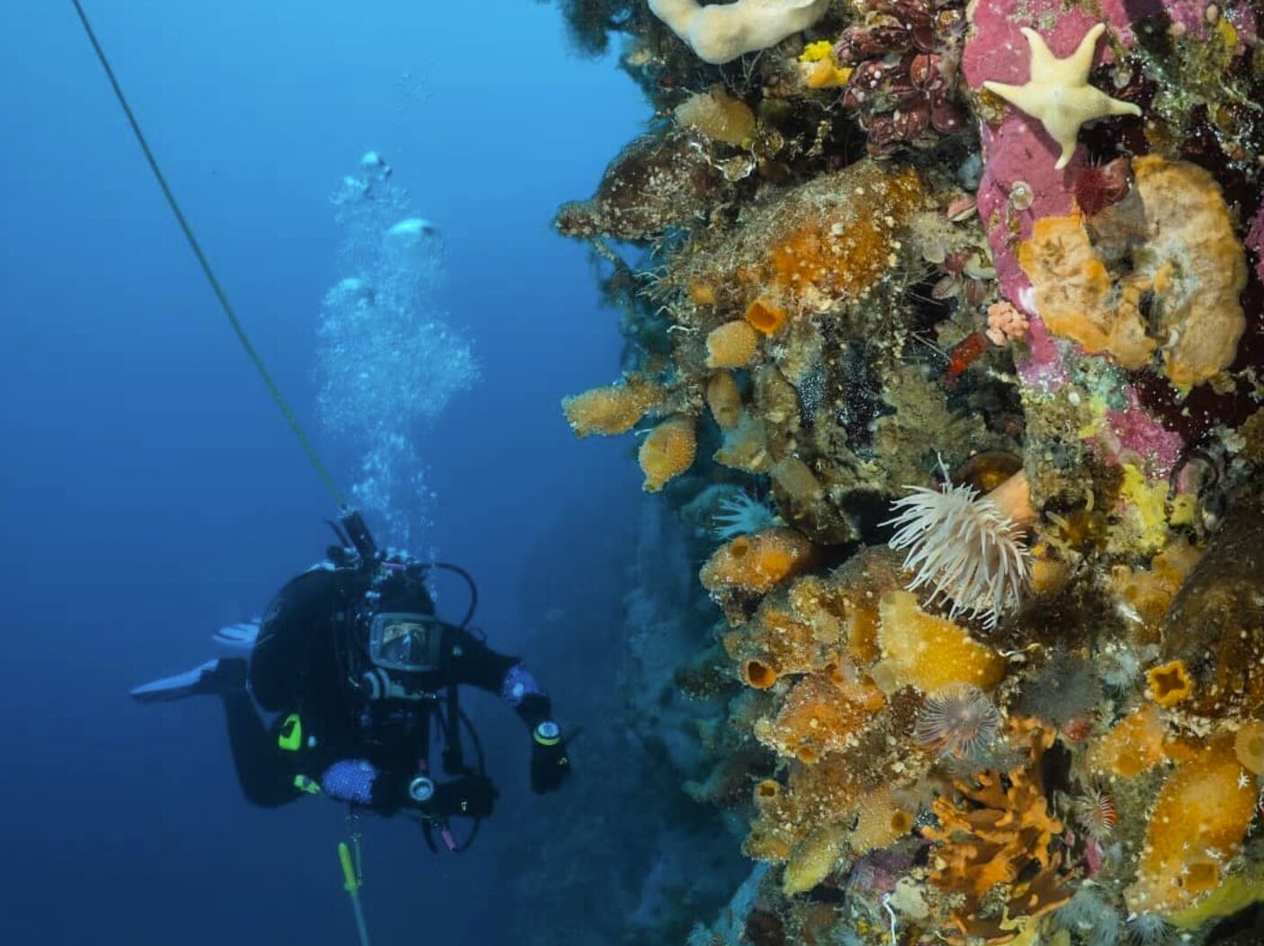 A group of people are underwater