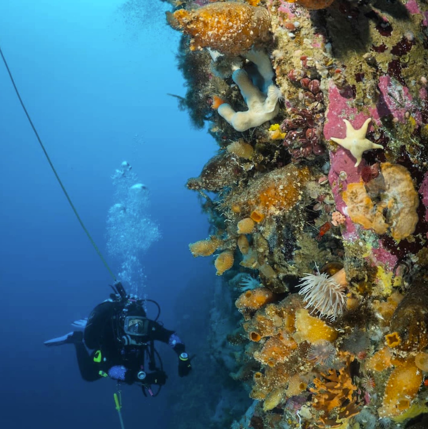 Bonner Laboratory and dive facility - British Antarctic Survey