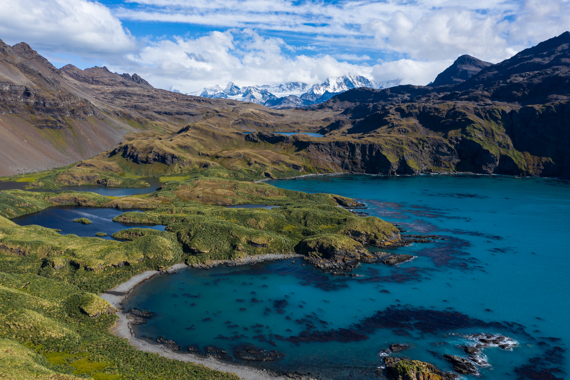 South Georgia protected area