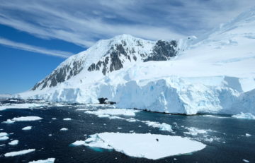 Warming Western Antarctic Peninsula waters impact plankton community