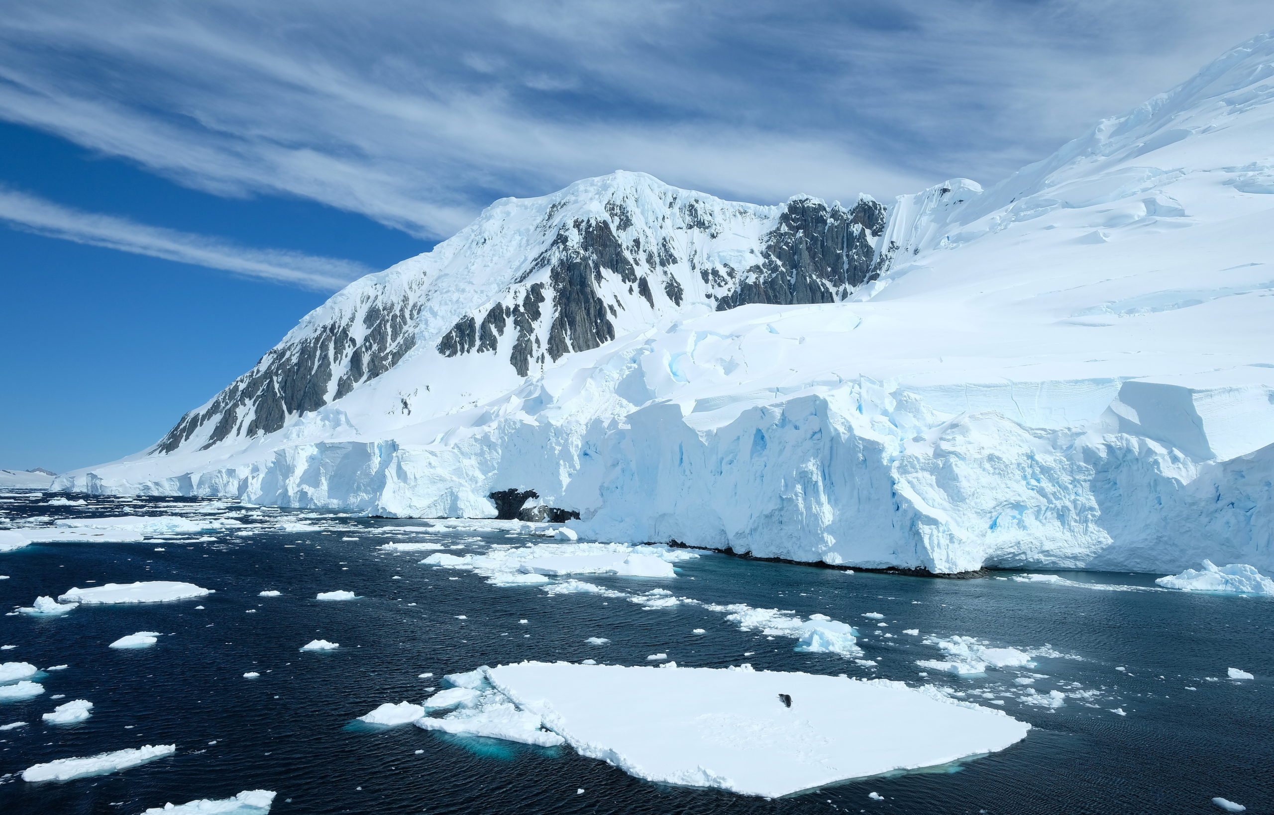 Ocean with floating sea ice, with a snowy mountain in the background