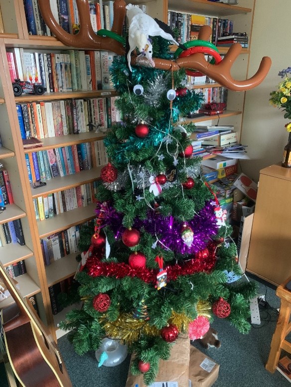 Photo of Bird Island Christmas Tree