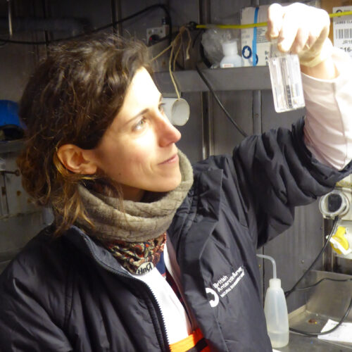 Profile picture Elisa Bergami