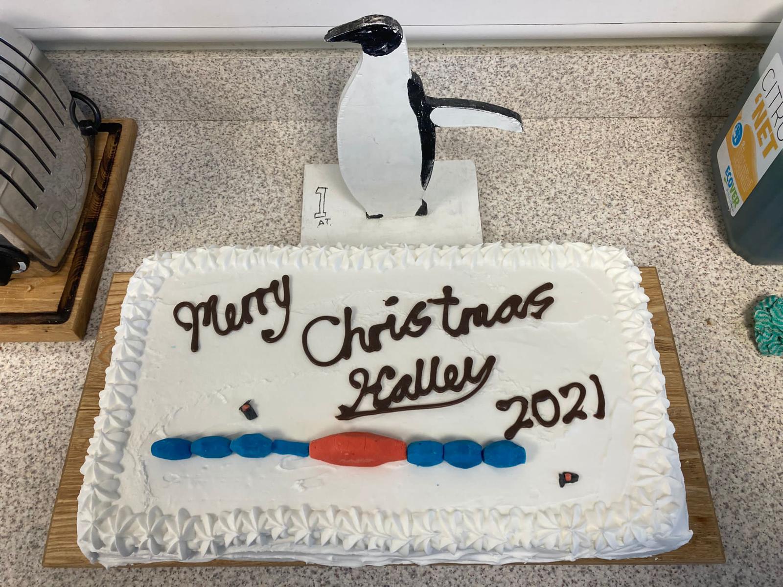 Halley Christmas Cake 2021
