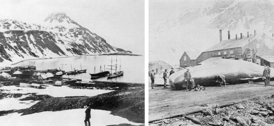 Black and white photos of historical whaling station in the mist of a mountain