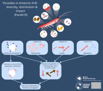 ParaKrill schematic