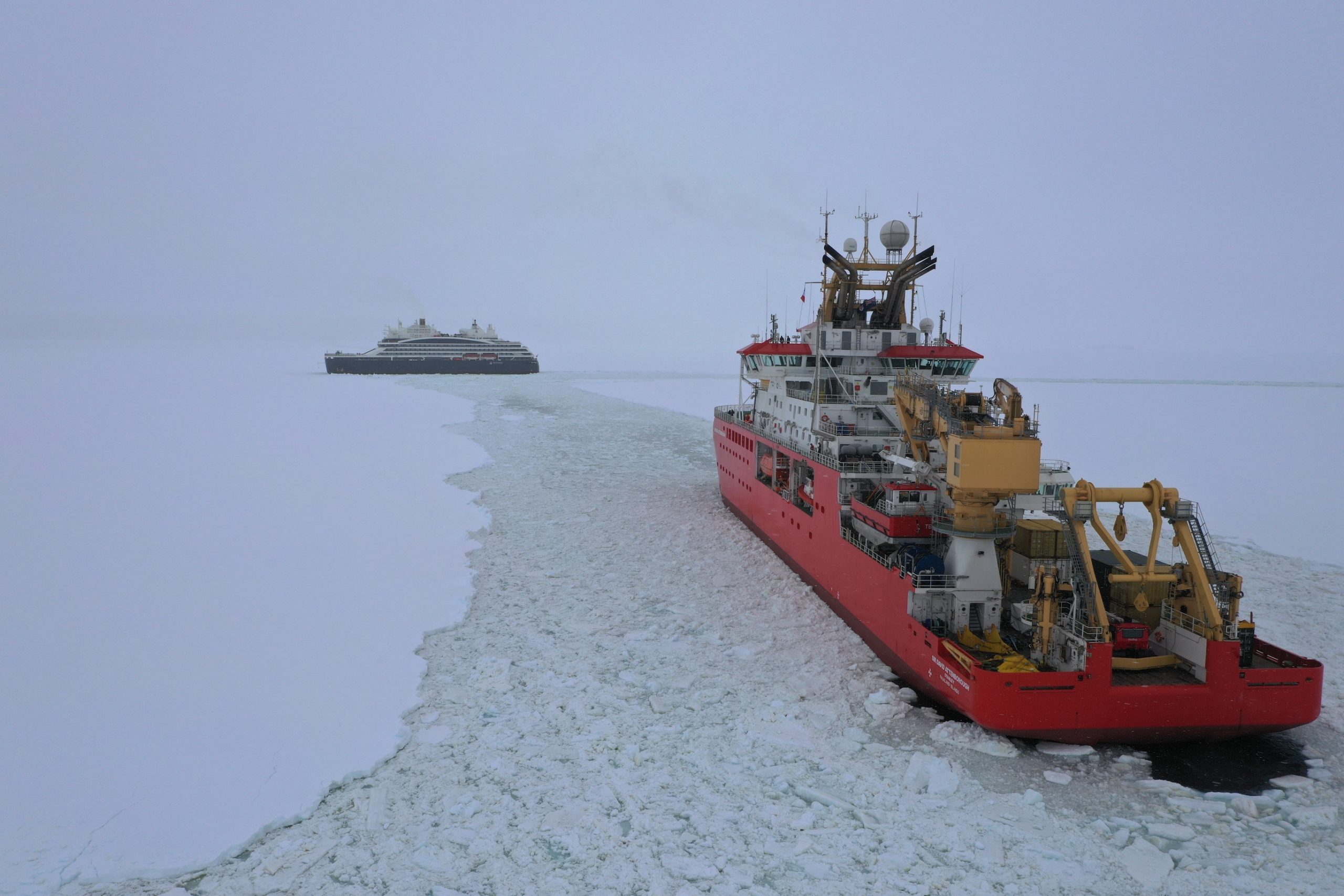 RRS Sir David Attenborough (SDA) has collaborated with the cruise ship Le Commandant-Charcot Charcot 