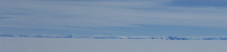 A bird standing on a snow board on a body of water