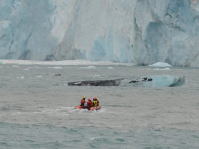 A group of people riding skis on a body of water