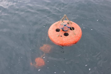 Scientific mooring alongside RRS Sir David Attenborough