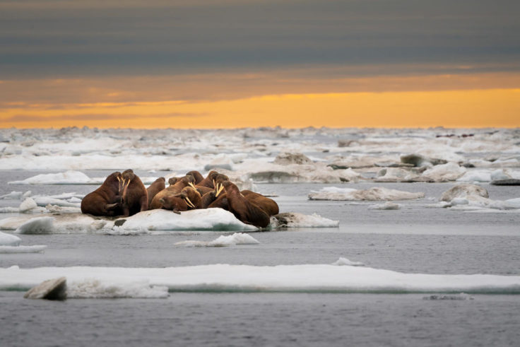 A group of people on a beach near a body of water