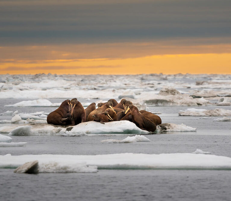 A group of people on a beach near a body of water