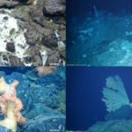 Underwater view of a rock