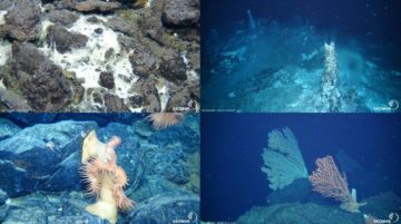 Underwater view of a rock