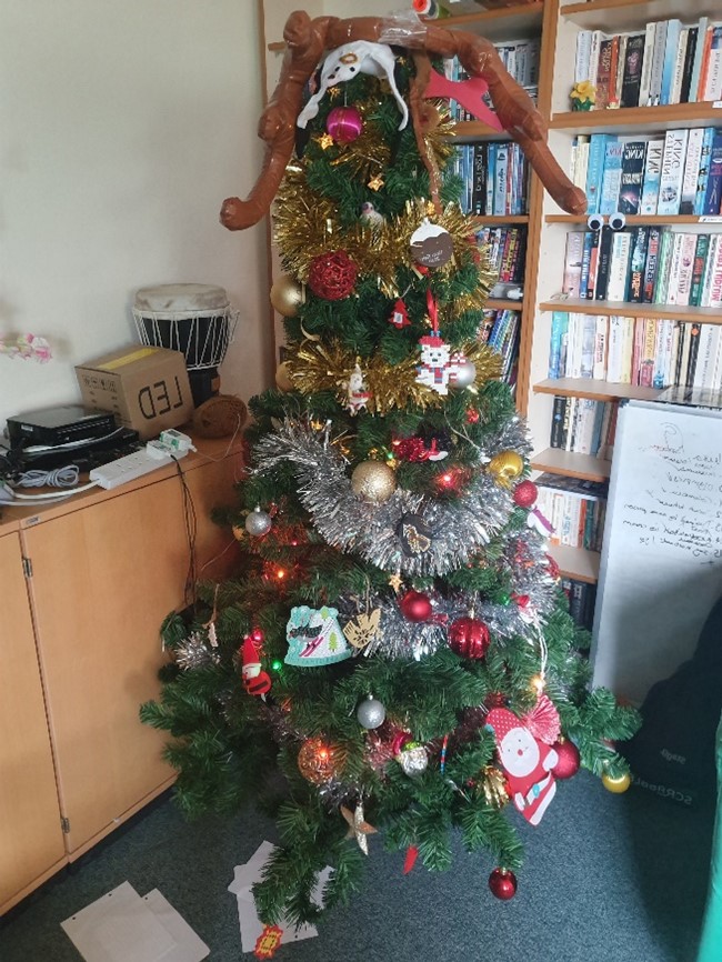 A christmas tree sitting next to a book shelf