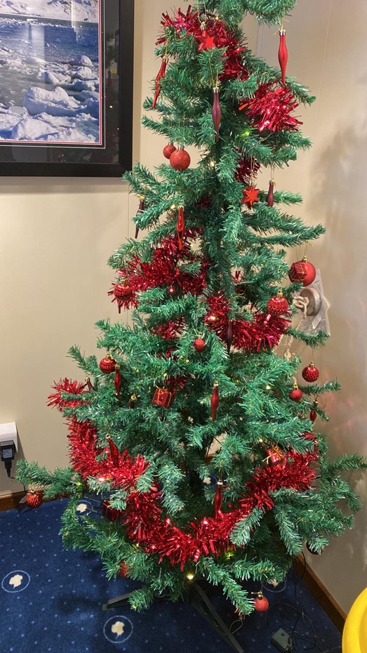 A Christmas Tree on the RRS Sir David Attenborough