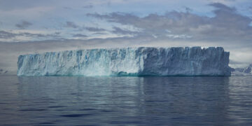 Iceberg in Ryder Bay
