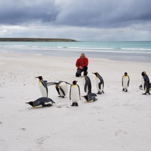 Profile picture Jimmy Bellis