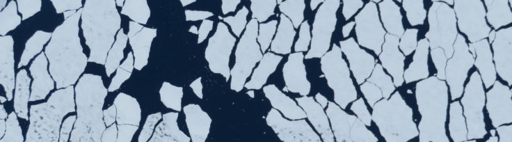 A close up of a person