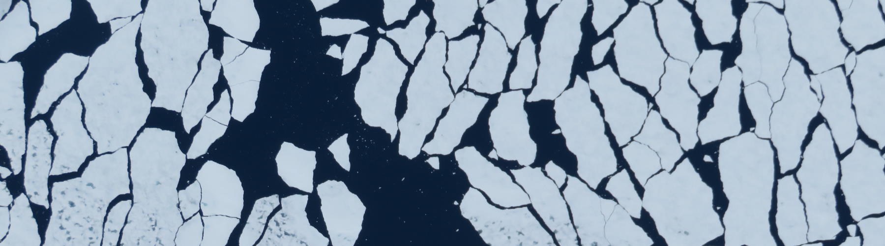 A close up of a person