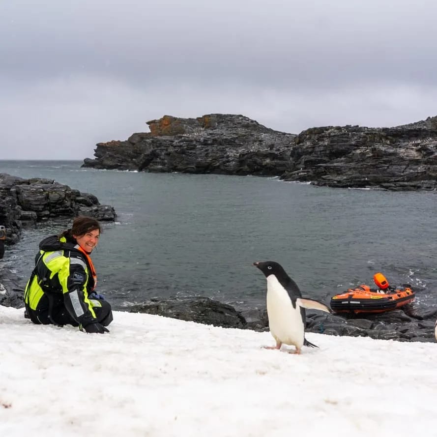 A woman is sat on the snow, looking at a penguin