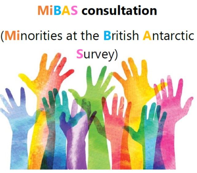 Image of MiBAS consultation
