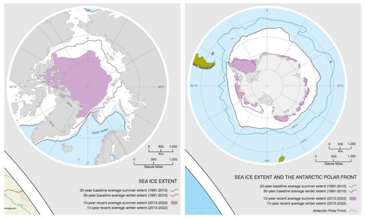 Chart, radar chart