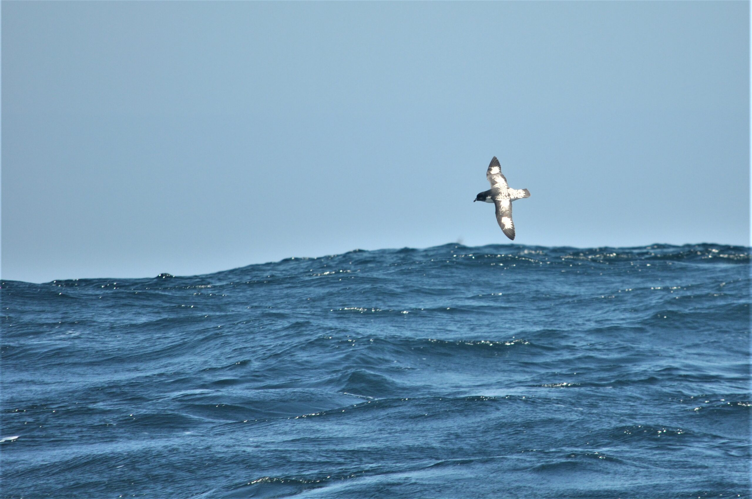 A man flying through the air while riding a wave in the ocean